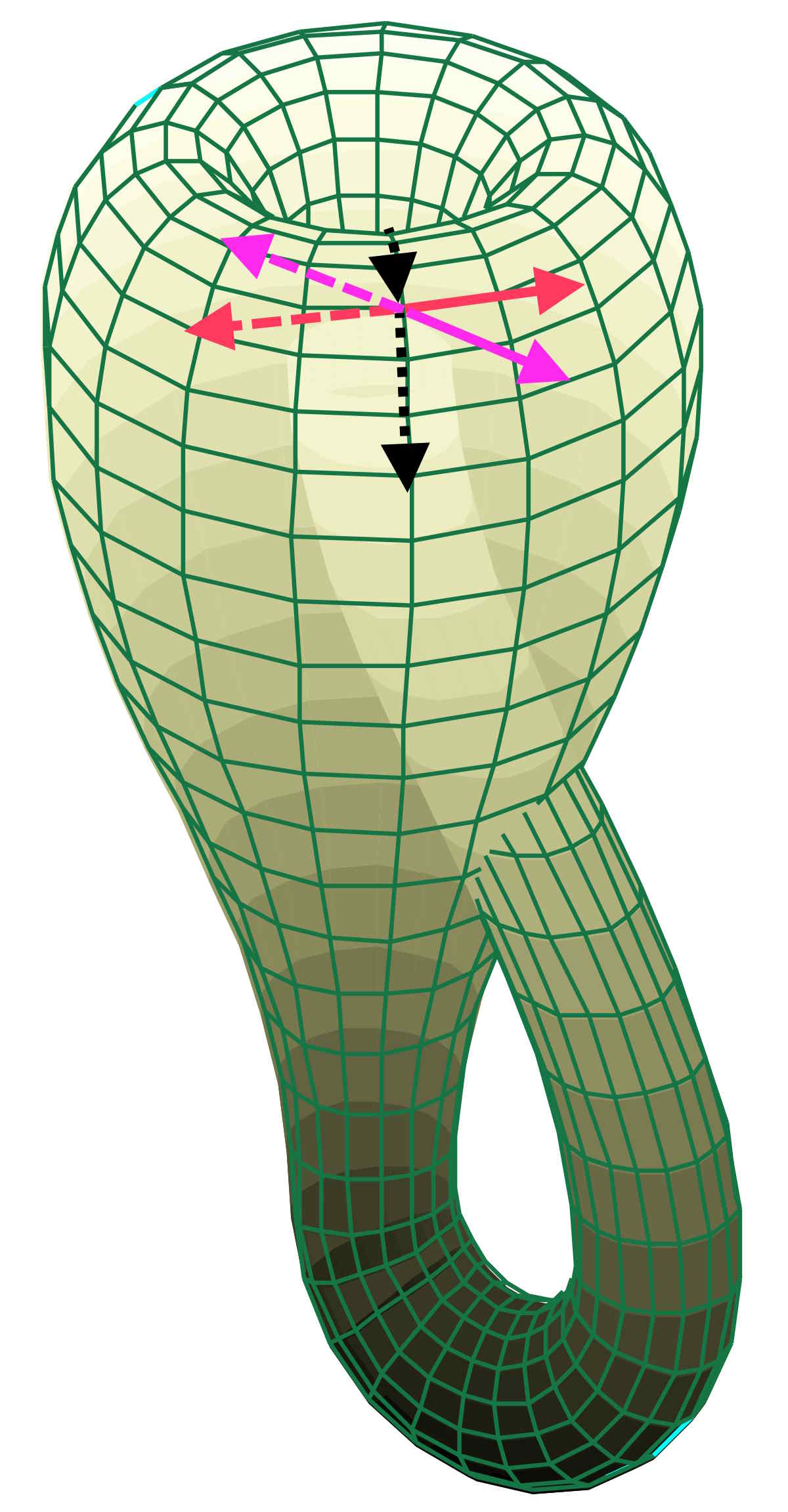 Klein-bottle-symm.jpg